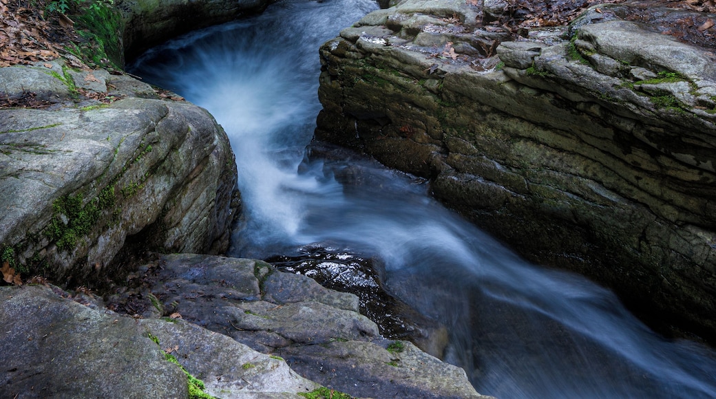 Seven Tubs Nature Area