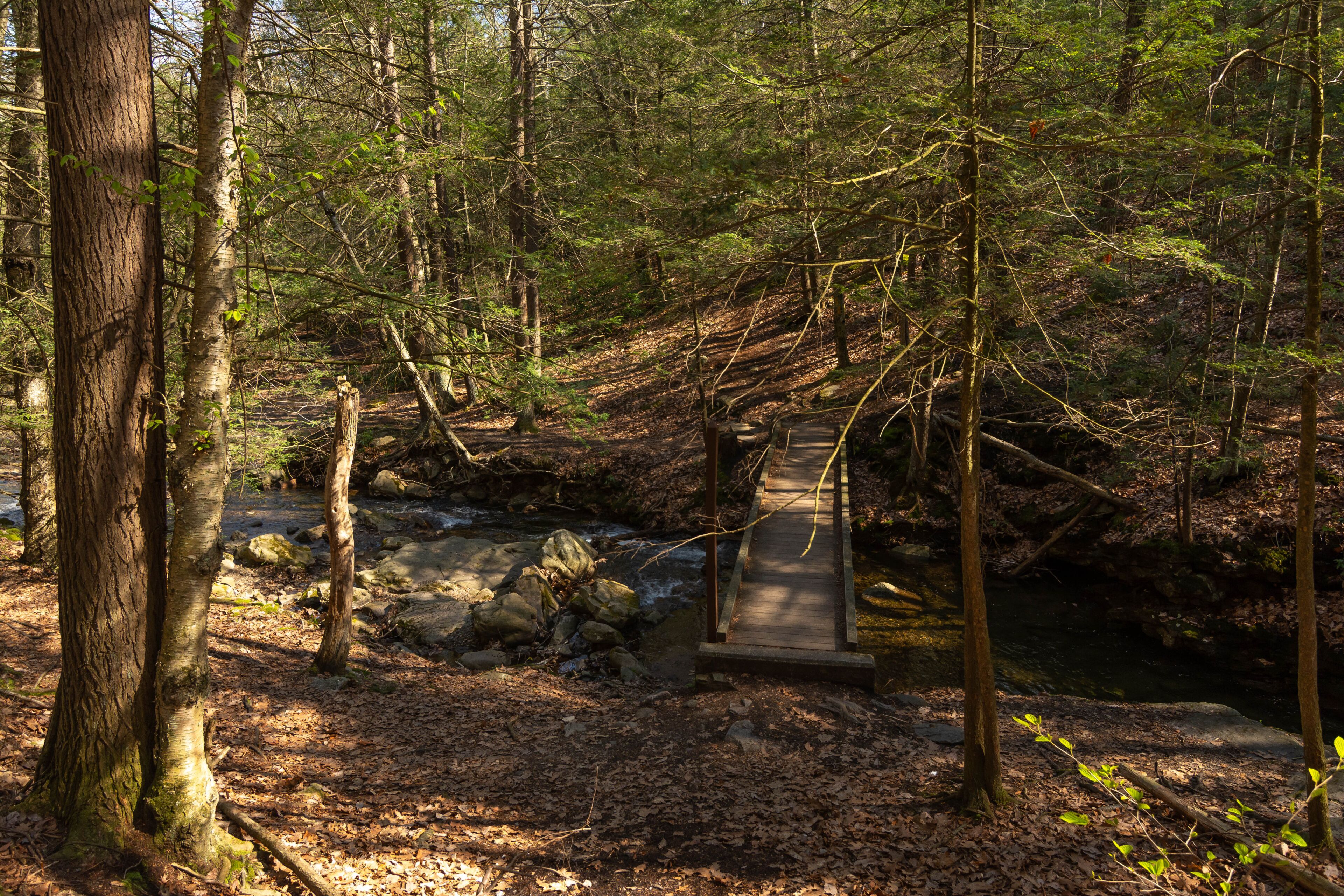 Nature Trail Along Laurel Run in Seven Tubs Recreation Area Wilkes-Barre