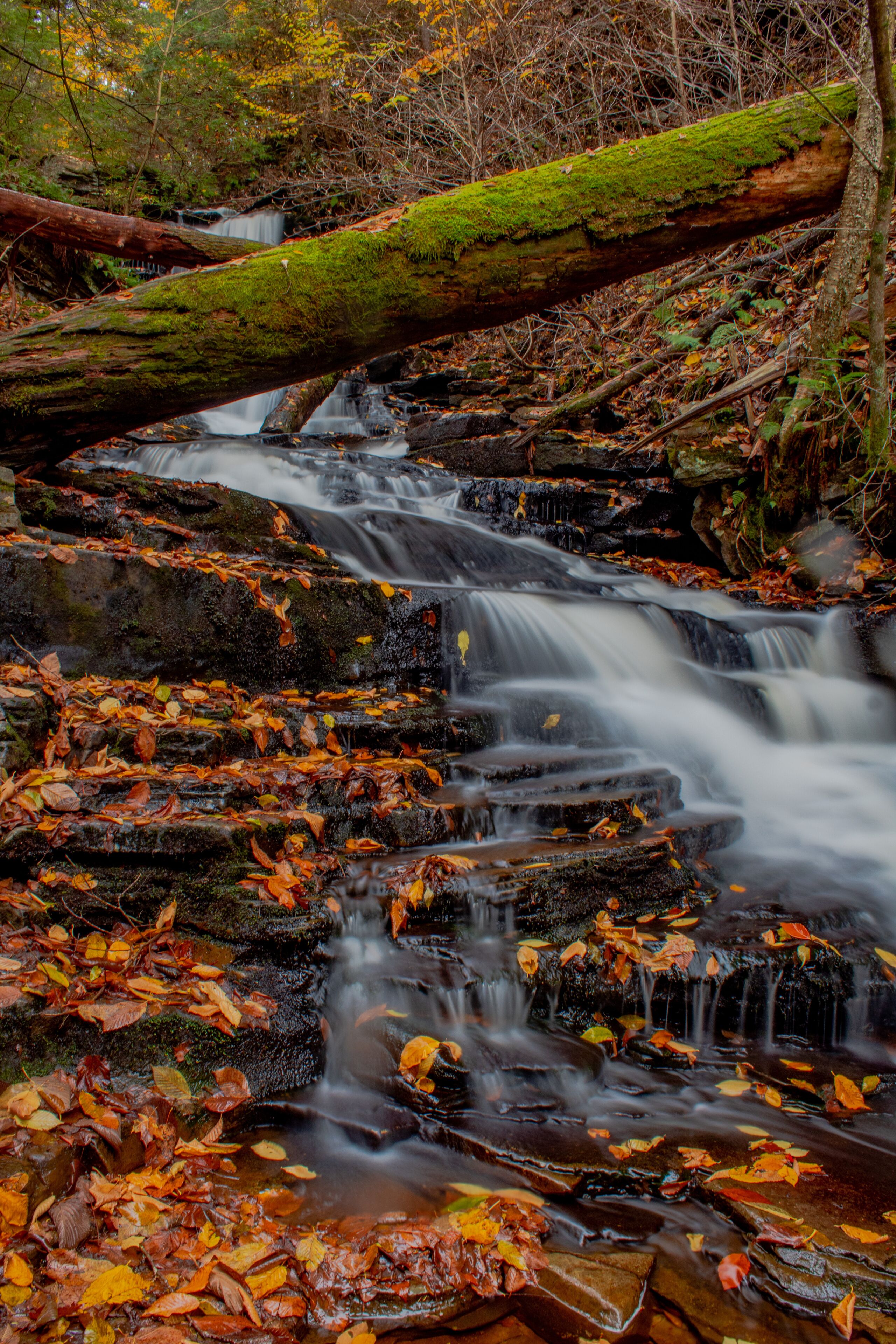 Autumn at Ricketts Glen State Park
