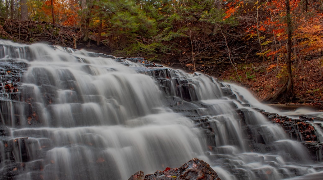 Autumn at Ricketts Glen State Park