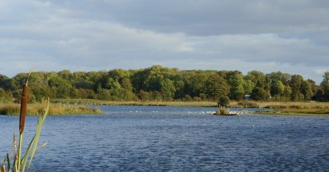 Staveley Lagoon There are a series of small lakes or lagoons to the north and west of Steveley. These have formed in old gravel and clay workings and are now a reserve managed by the Yorkshire Wildlife Trust.