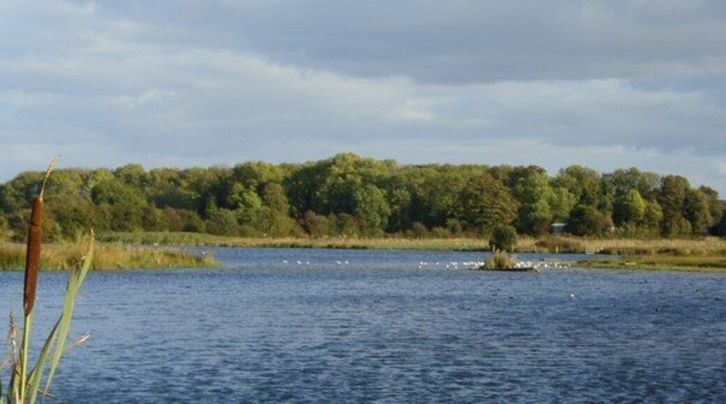 Staveley Lagoon There are a series of small lakes or lagoons to the north and west of Steveley. These have formed in old gravel and clay workings and are now a reserve managed by the Yorkshire Wildlife Trust.