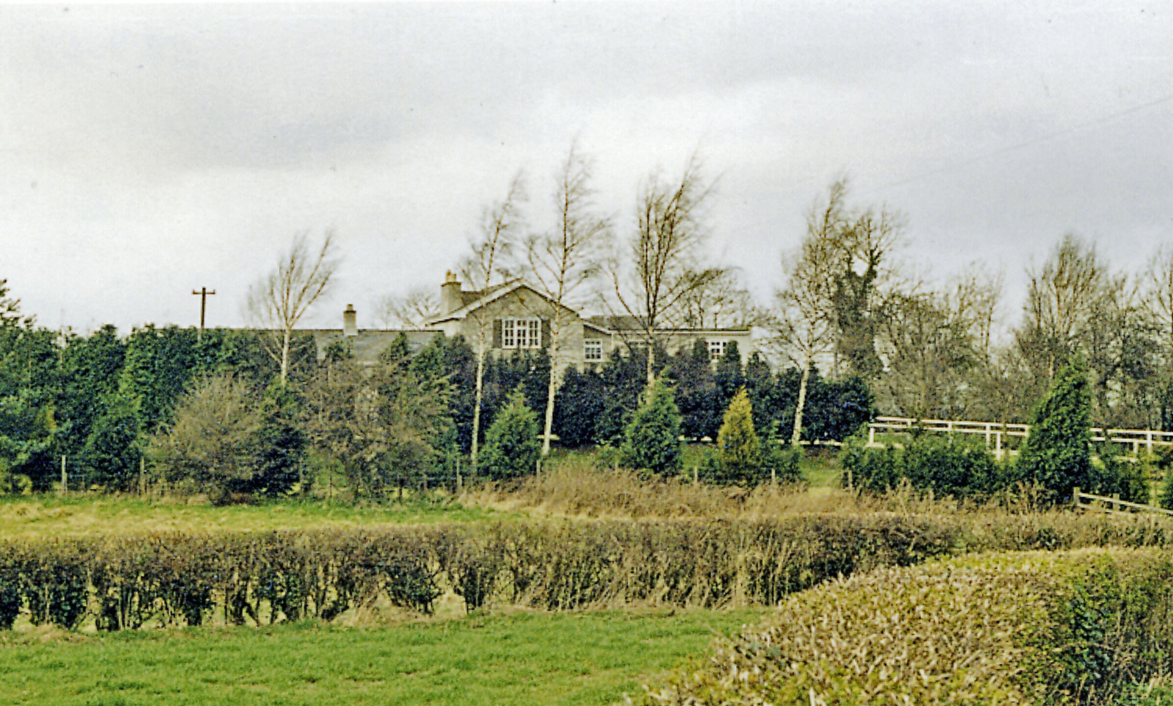 A large house surrounded by trees and a hedge.
