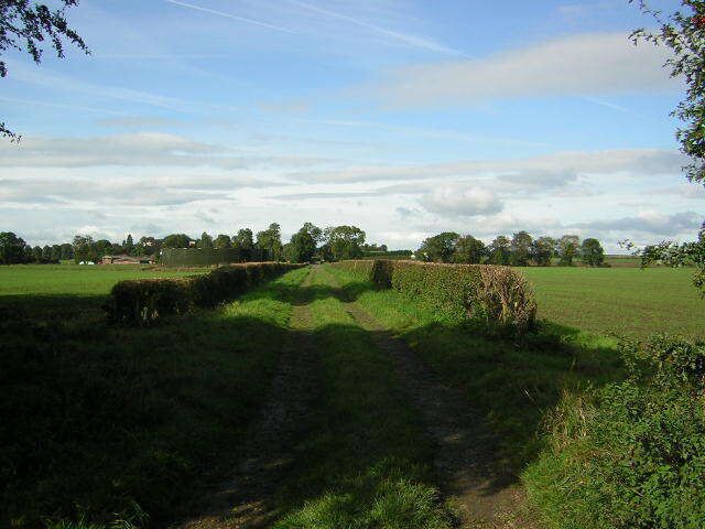 Goldsborough Moor Track from Goldsborough Moor, just a wood really, into the Village of Goldsborough