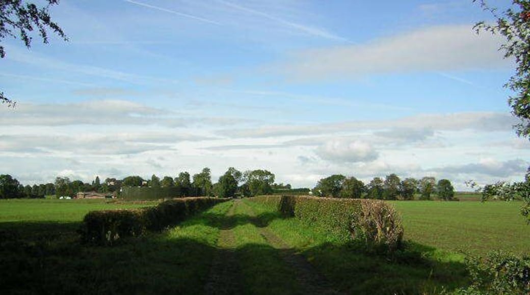 Goldsborough Moor Track from Goldsborough Moor, just a wood really, into the Village of Goldsborough