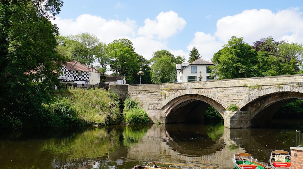 By the waterside of the River Nidd @ Knaresborough, North Yorkshire, UK (Jul 2018).
