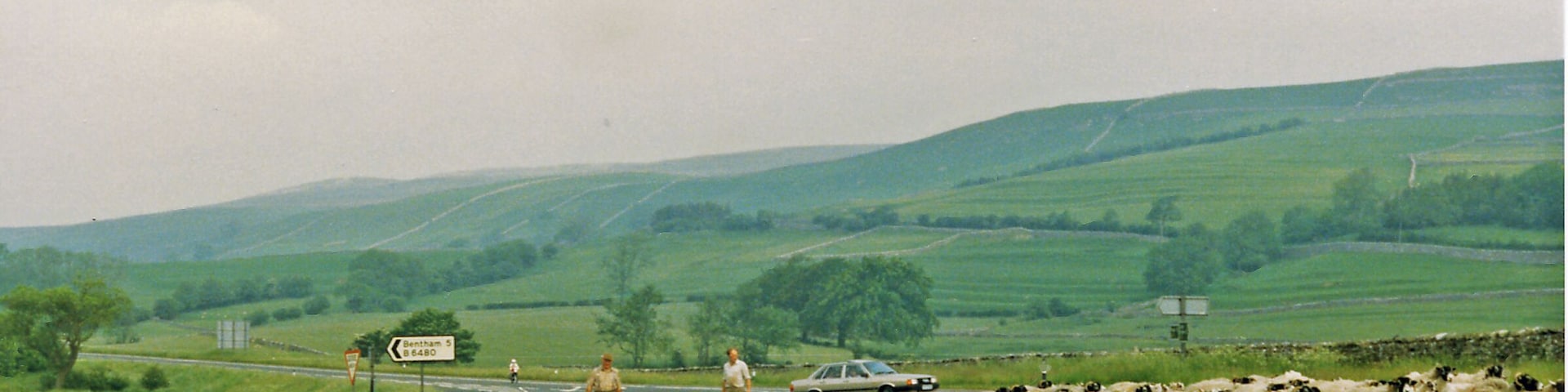 Northwards on A65 outside Clapham, with sheep 1986. View NW towards Ingleton on the A65, where the B6480 to Bentham turns off. It seems to be relatively easy to drive a flock of sheep across a trunk road as there is no traffic! (That's my car parked beyond). In the Pennine Chain beyond the hills rise to about 2,000 feet on Newby Moor, Ingleborough being further on