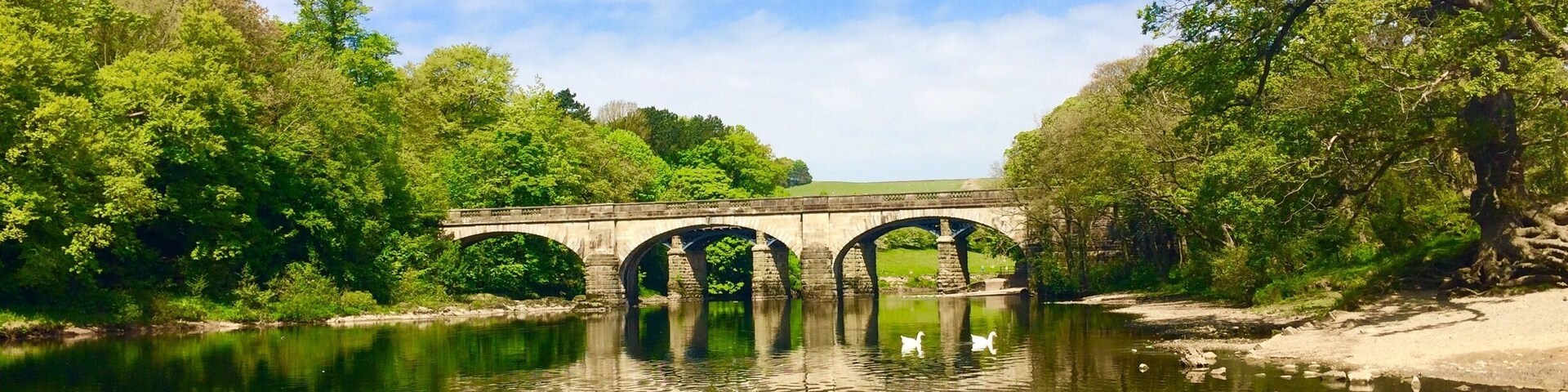 Picnic spot on Lune valley cycle path