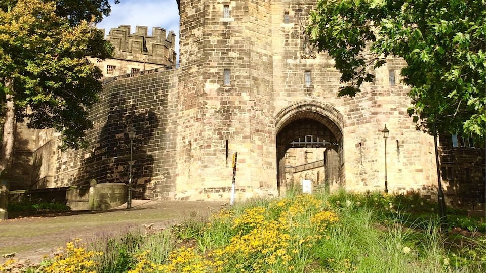 A historic stone castle with a prominent archway entrance, surrounded by lush greenery and vibrant yellow flowers.