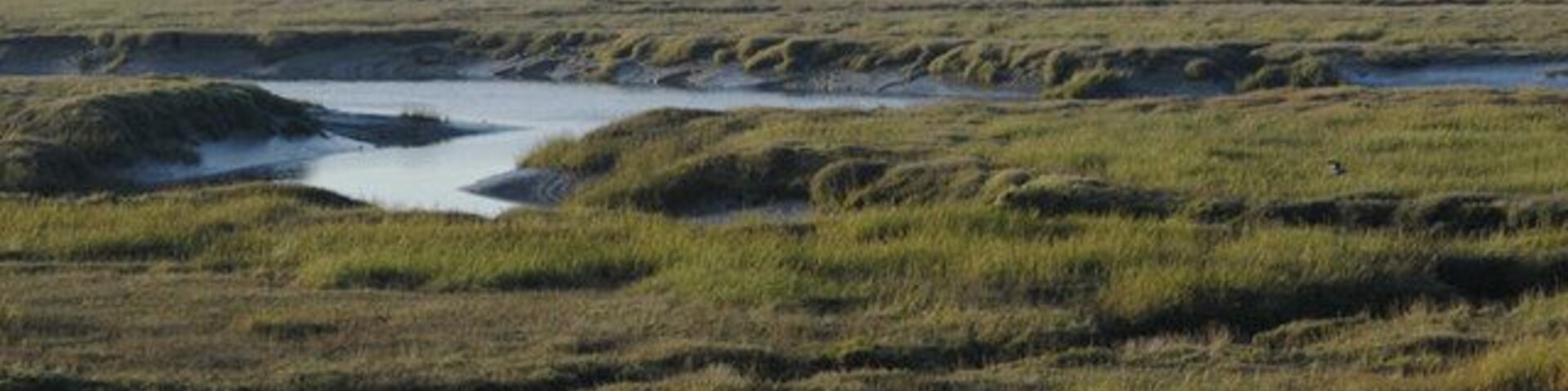 Salt marsh at Conder Green Looking over the Rivers Conder and Lune towards Glasson Dock