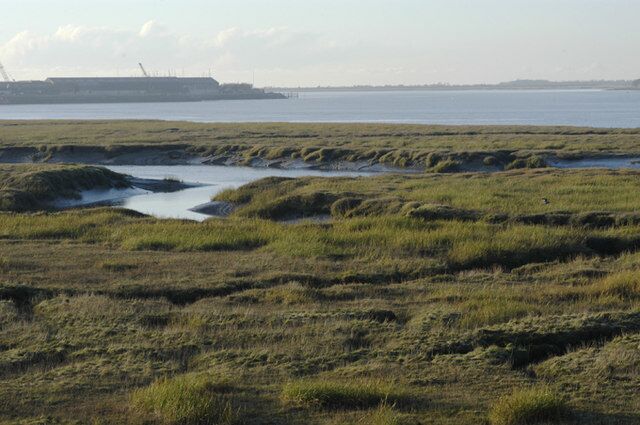 A coastal landscape with grassy terrain and a body of water.
