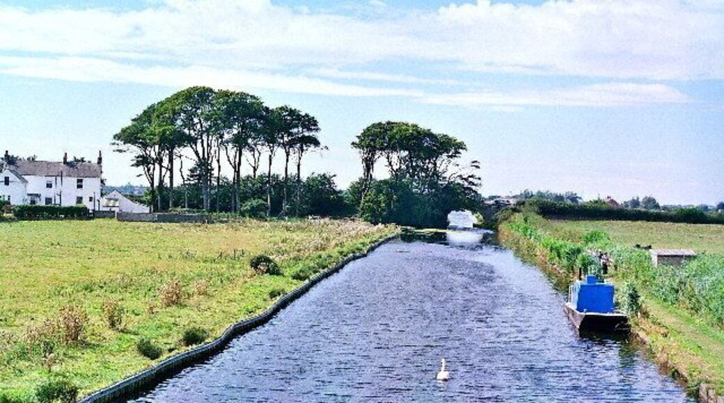Glasson branch of Lancaster canal. Looking W from Thurnham Mill to bridge no 6