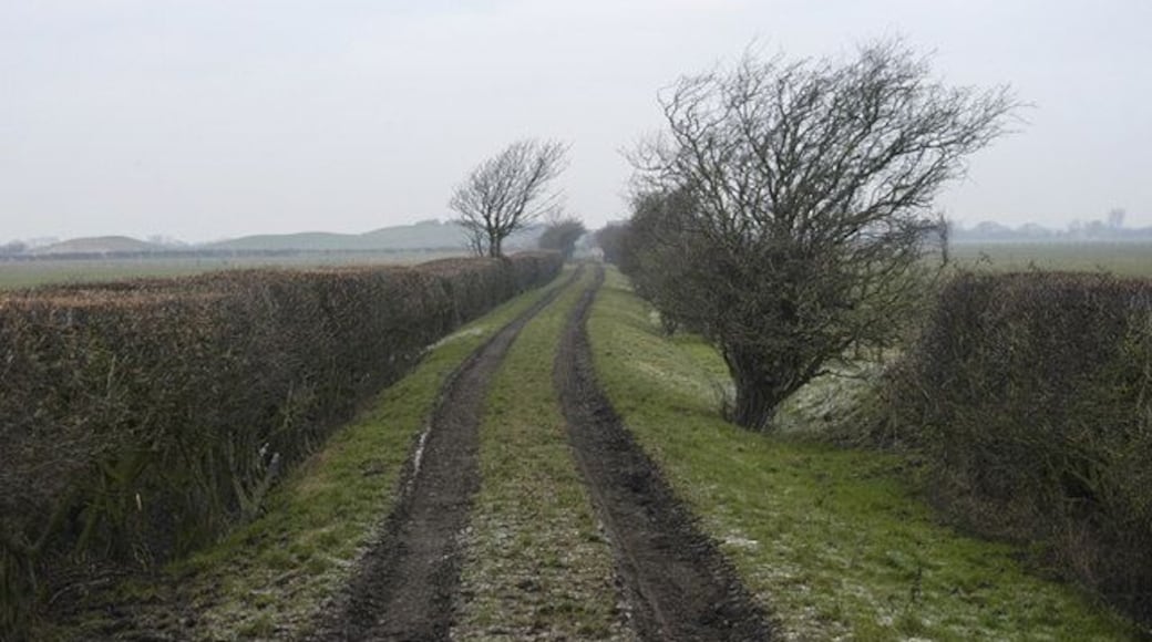 Track to Thursland Hill