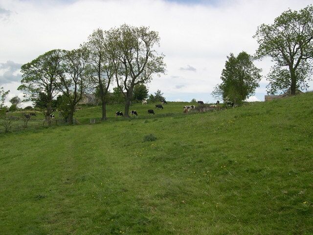Summerfield Farm