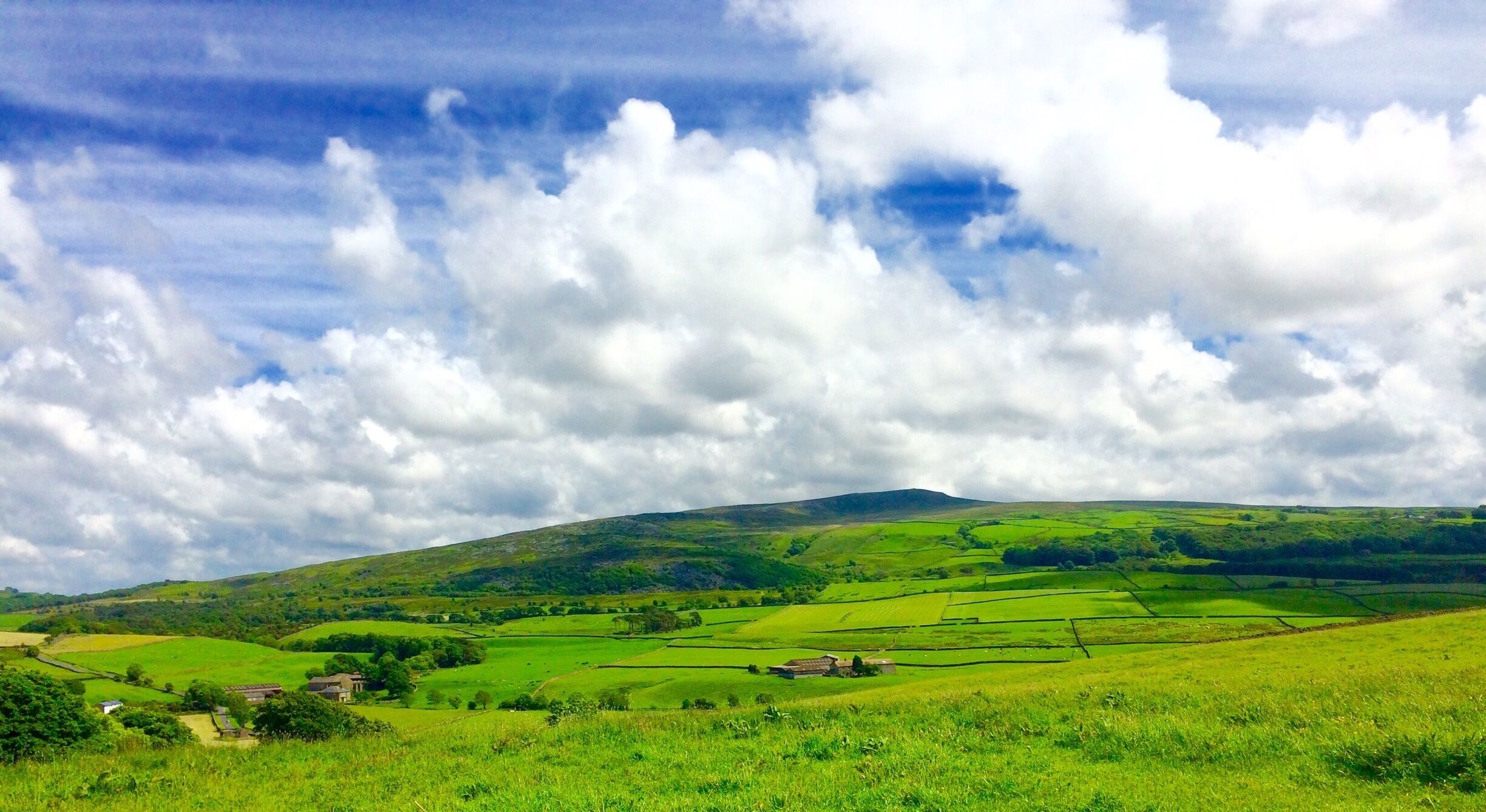 Gorgeous spring day  at silo cutting time looking towards Clougha Pike. 