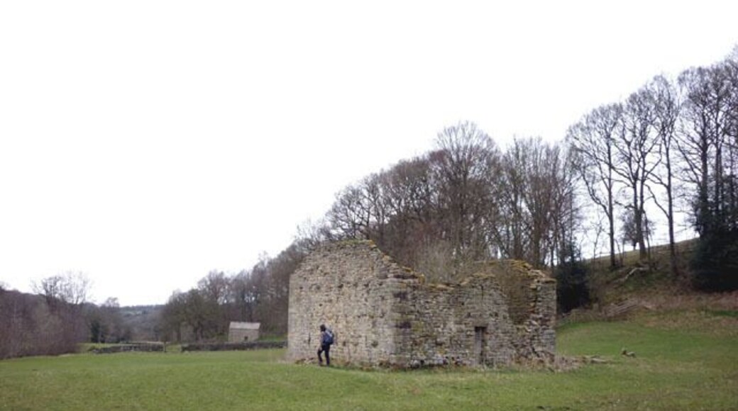 Ruined barn, Hindburndale near Lowgill