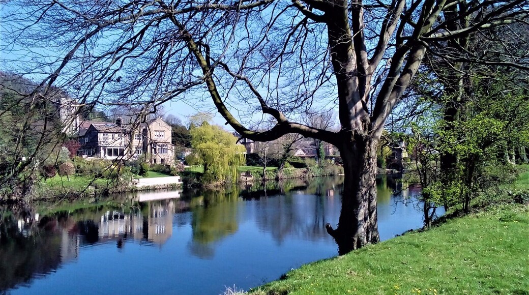 Stunning scene by the River Lune
#lifeatexpedia #troveon #waterlust
#Blue #Reflections #Parks #BVSBlue
#mubackyard