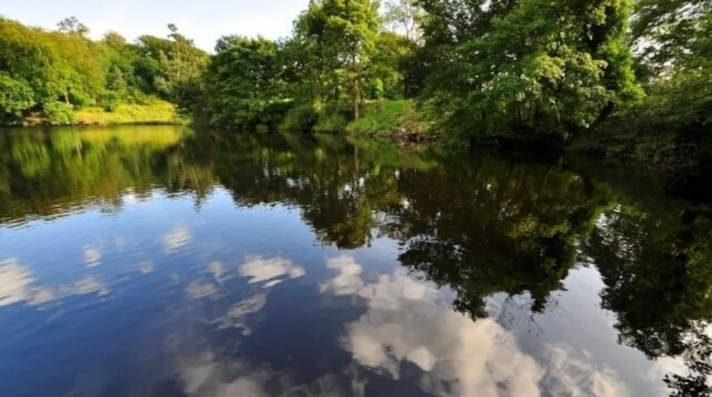 Clapham Beck lake The Southern end of the lake at the end of Clapham beck, which feeds the waterfall 50 metres beyond the end of this image.
