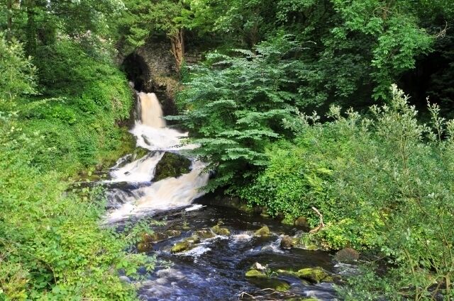 A waterfall in a lush green forest.