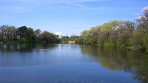 Bailrigg Lake