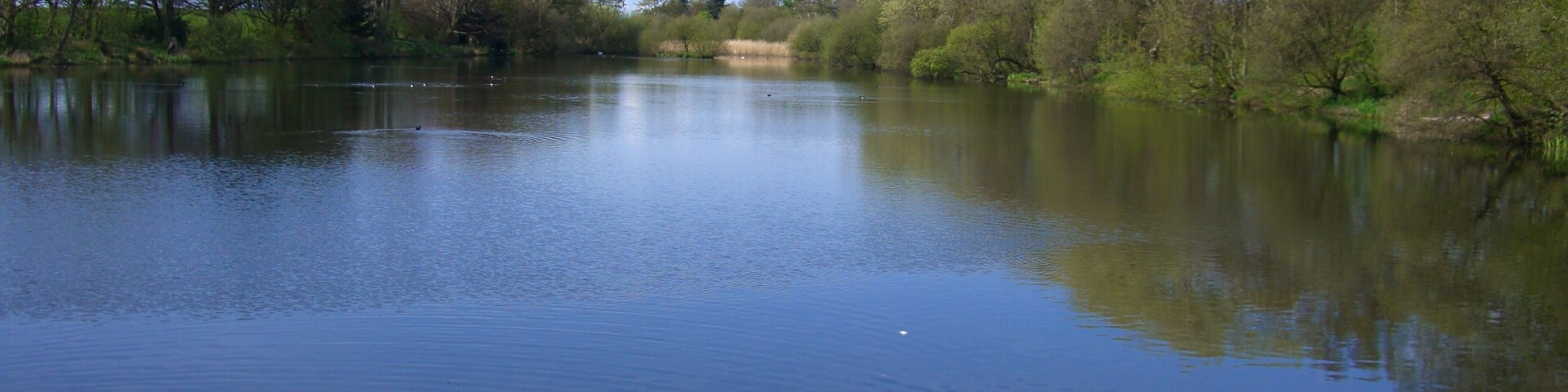 Bailrigg Lake