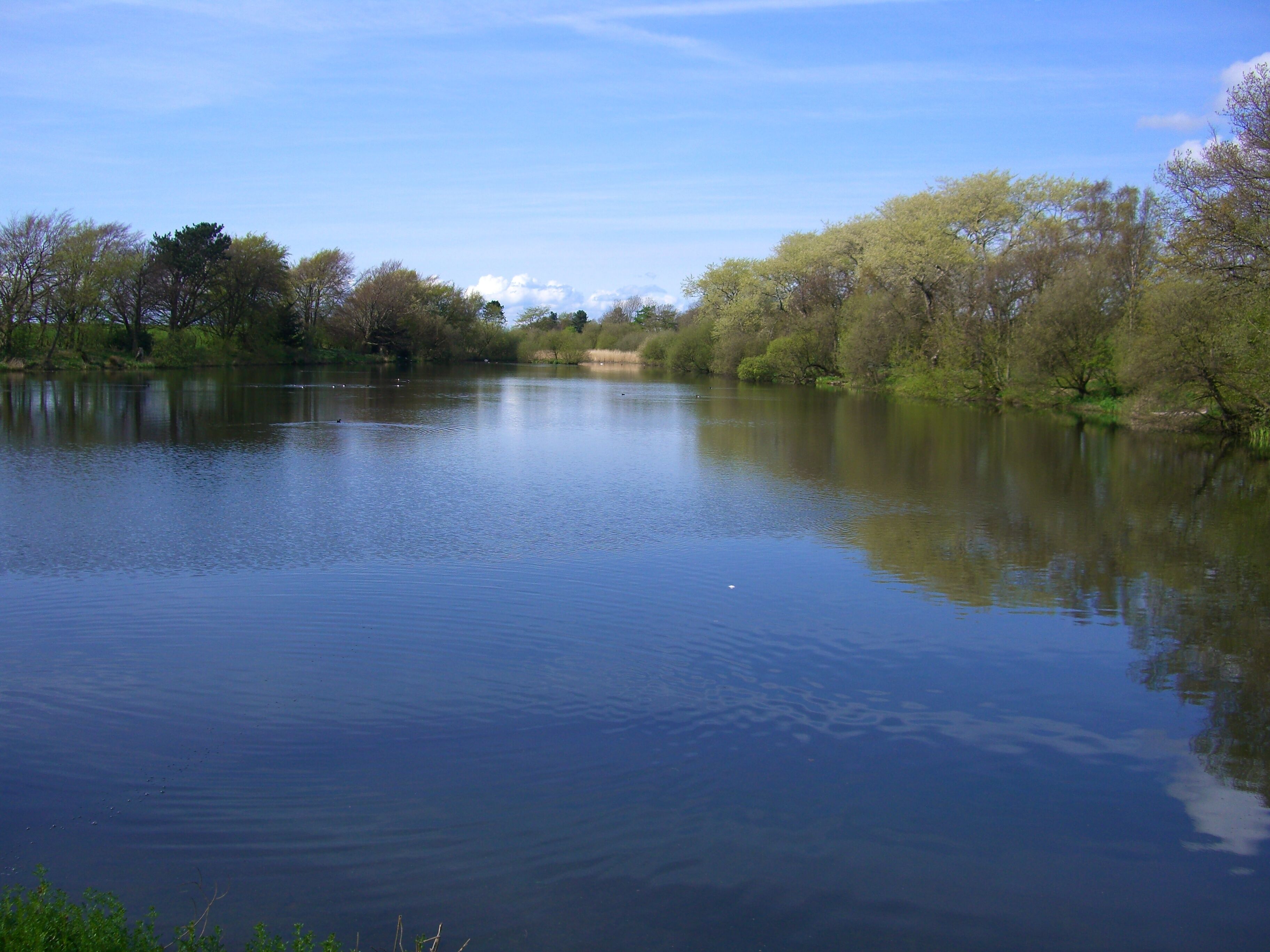 A calm river with trees on both sides.