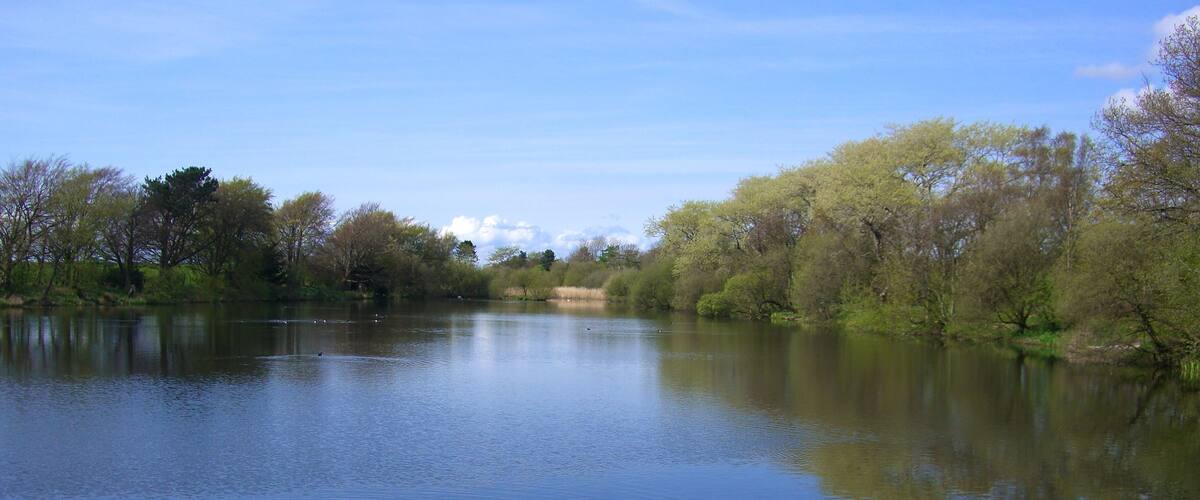 A calm river with trees on both sides.