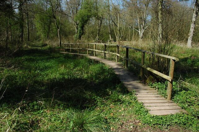 Un puente de madera en un área boscosa.