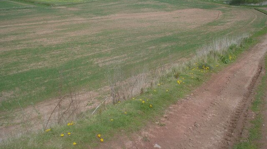 Farm track at Hill Farm Looking north to The Barns with Quarry Coppice on the hill to the left and Coombs Hill Coppice on the right.