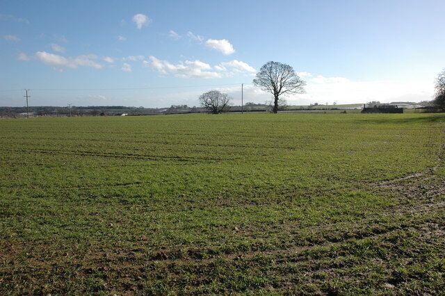 Field to the north of Winsley House The roof of Winsley House can be seen over the brow on the right.