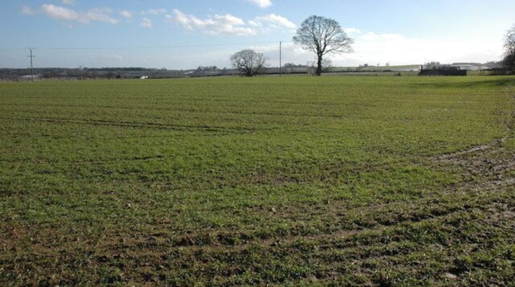 Field to the north of Winsley House The roof of Winsley House can be seen over the brow on the right.