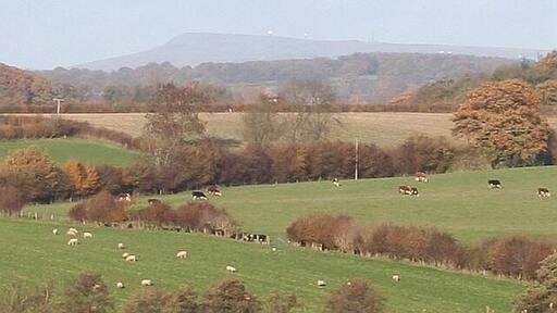 Titterstone Clee Hill Viewed from near Risbury some 24 km to the south showing the air traffic control radars and another radio mast on this quarried hillside.