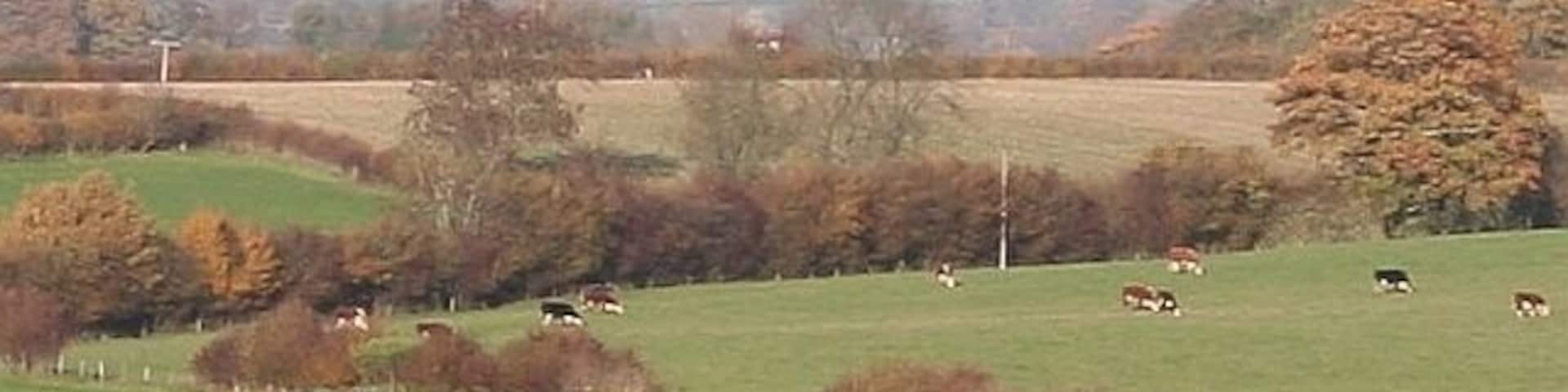 Titterstone Clee Hill Viewed from near Risbury some 24 km to the south showing the air traffic control radars and another radio mast on this quarried hillside.