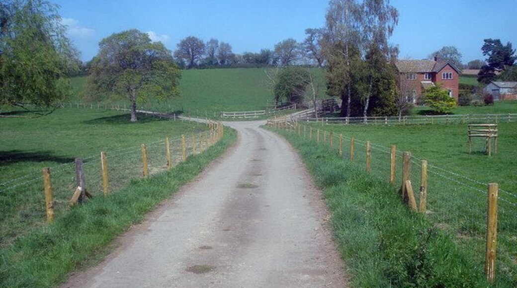 Driveway to Eyton Hall Looking north along the back entrance to Eyton Hall, which bears left across the large park. Turn right just ahead for Scatterbrain Farm.