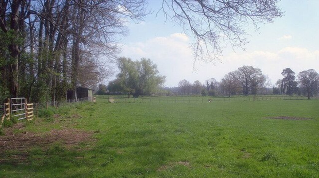 Pasture near Scatterbrain Farm View east across several sheep pasture fields. Eyton Hall woodland on the left.