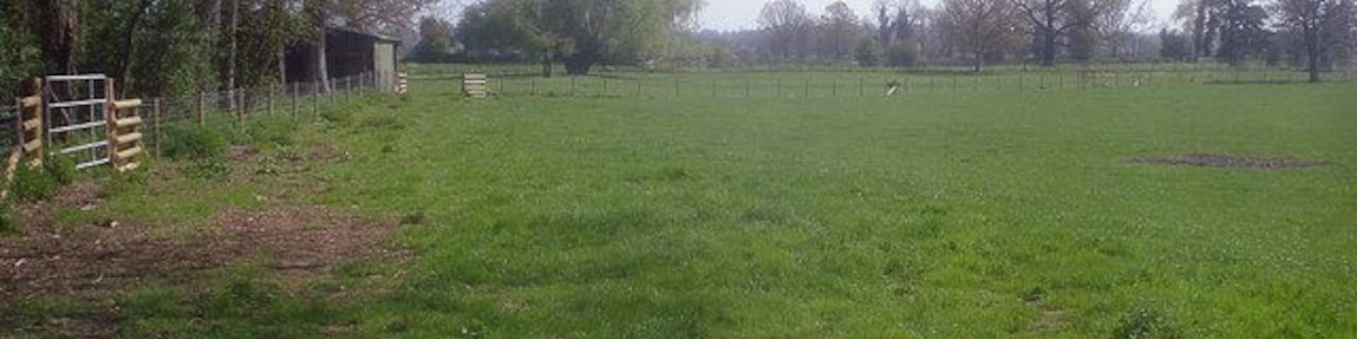 Pasture near Scatterbrain Farm View east across several sheep pasture fields. Eyton Hall woodland on the left.