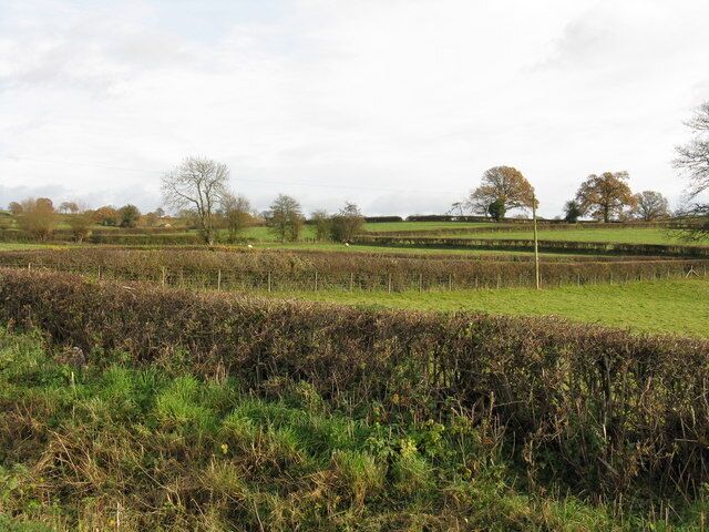 Fields near Kimbolton