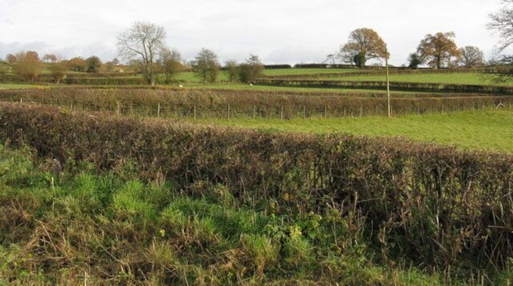 Fields near Kimbolton