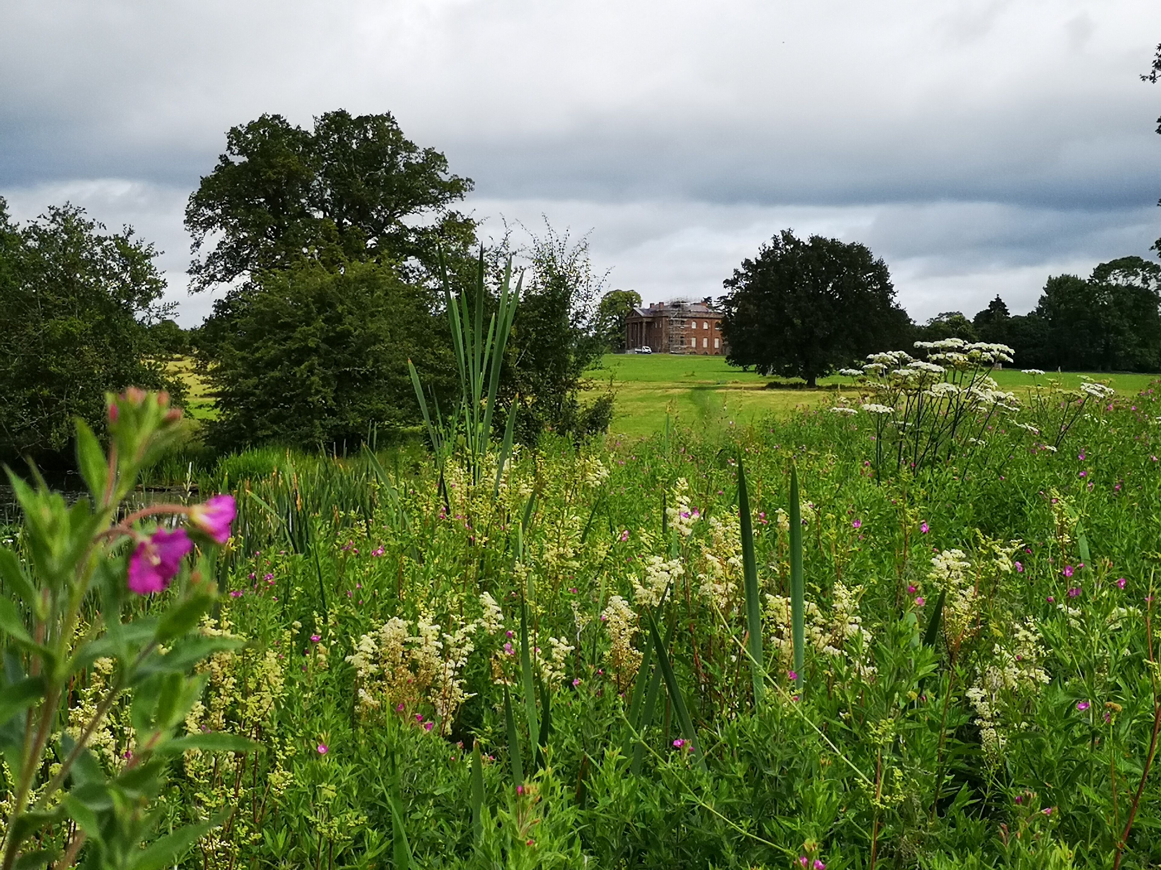 A nature lovers view of Berrington Hall from the lake on the estate. :)