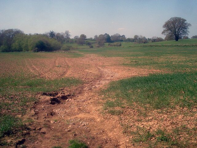 Soil erosion at Hill Farm Looking west at the bottom of a shallow valley which obviously becomes a water course in times of heavy rain. Most of the crop will be fine, but in the lower wetter areas growth is stunted and in the water course there is no growth at all.