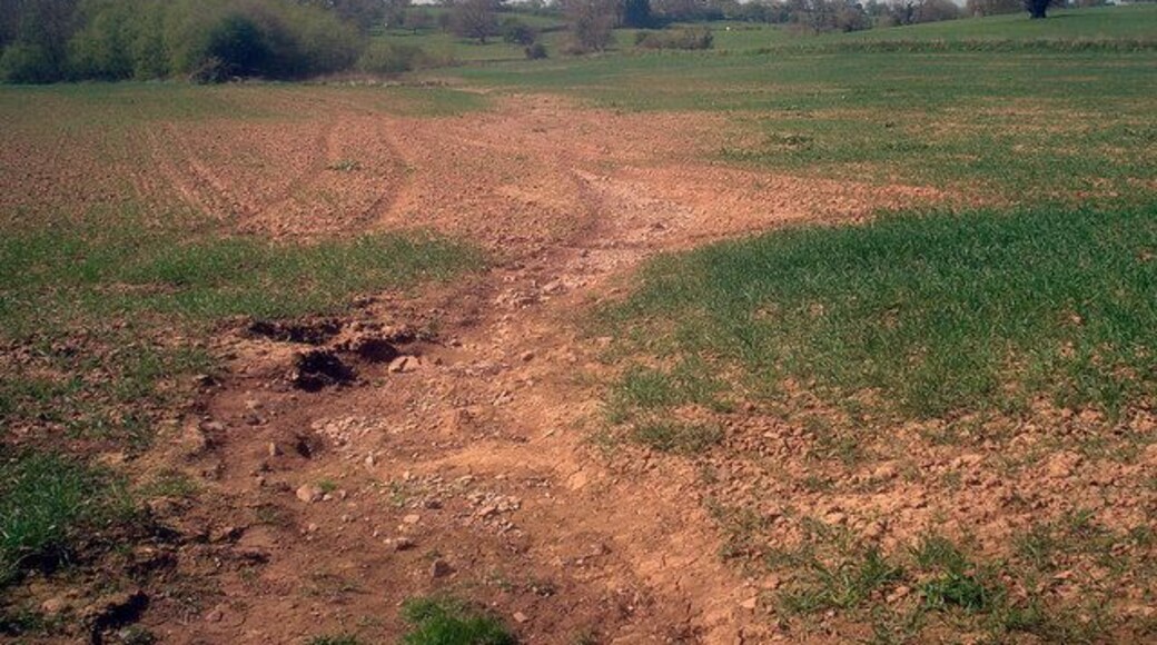Soil erosion at Hill Farm Looking west at the bottom of a shallow valley which obviously becomes a water course in times of heavy rain. Most of the crop will be fine, but in the lower wetter areas growth is stunted and in the water course there is no growth at all.