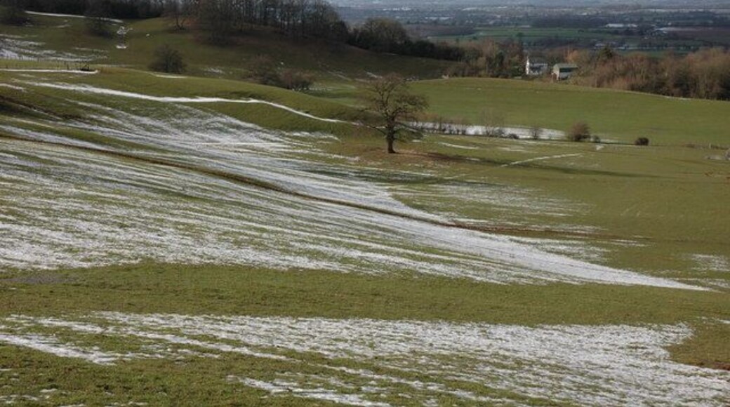 The northern slopes of Westhope Hill Viewed from the footpath which climbs up from the small hamlet of Upper Hill.