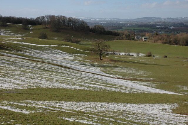 A grassy field with snow patches, a solitary tree, and distant hills.