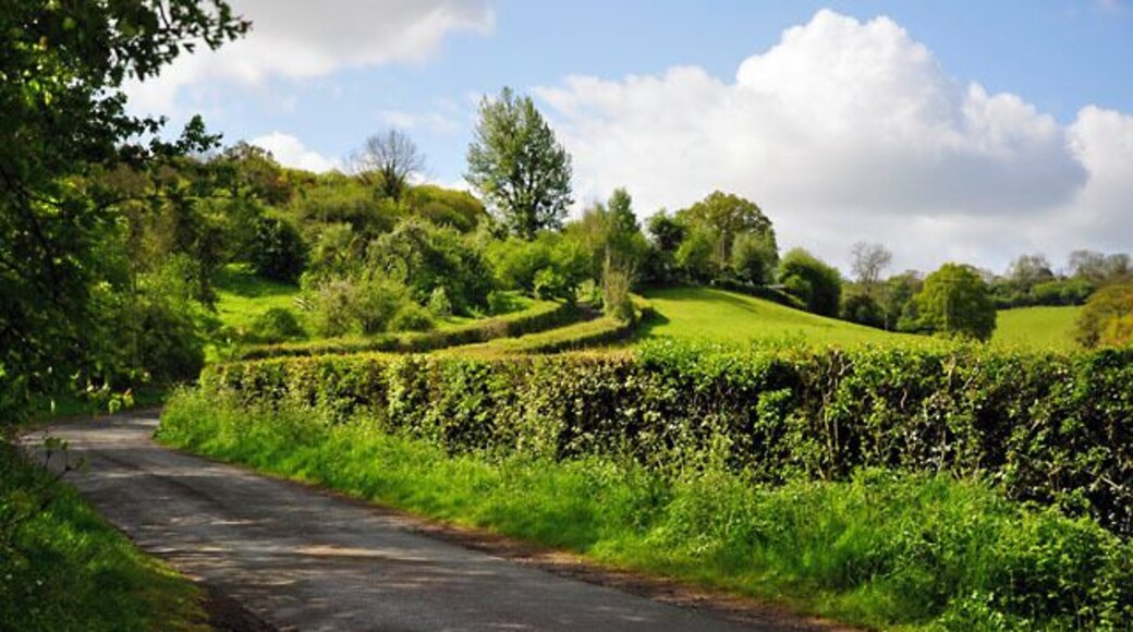Countryside near Hope under Dinmore The road in the picture is a no through road.
