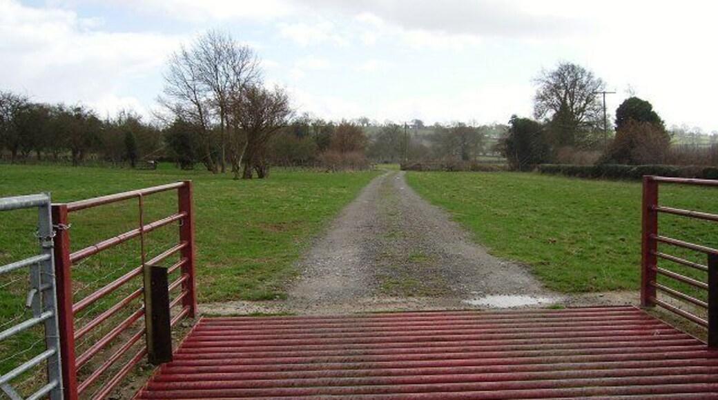 Farm track, Far Heath,Kimbolton. View south along a farm or former farm, judging by its pristine condition, access road.