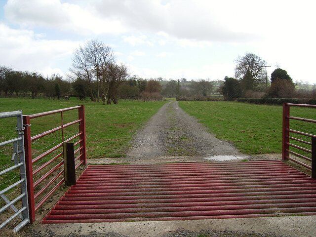 A rural road leading through a green field with a metal gate and red steps.