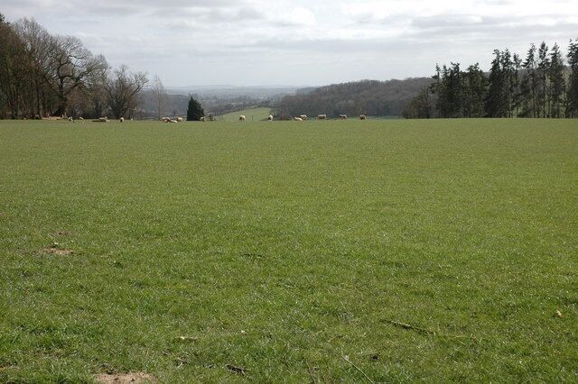 Field above Pervin Farm View to the south-east from Pervin Wood.