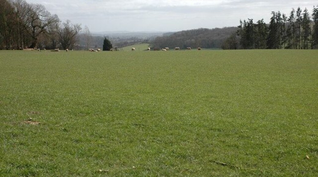 Field above Pervin Farm View to the south-east from Pervin Wood.