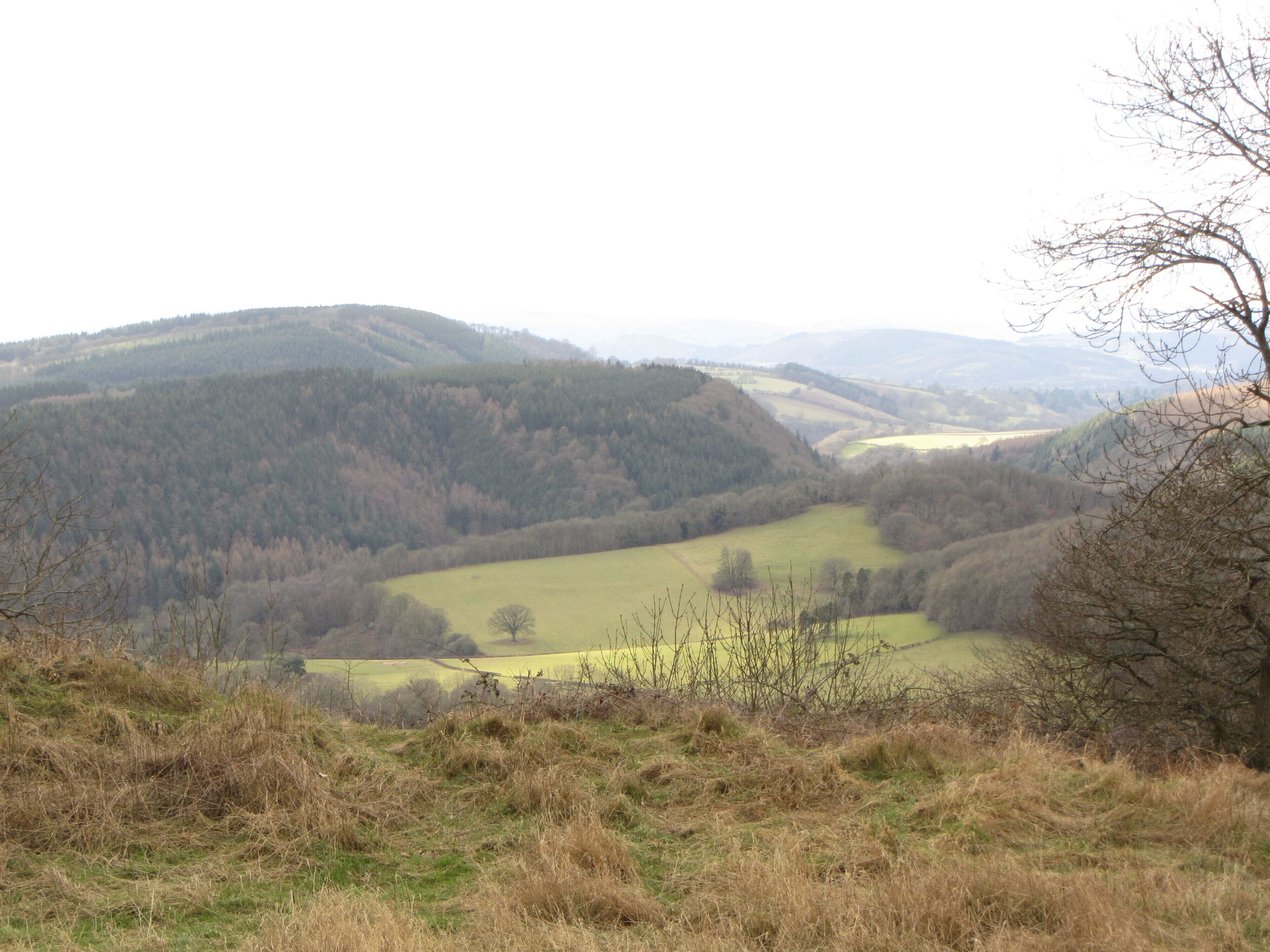 View west from the hill fort - Feb 2012