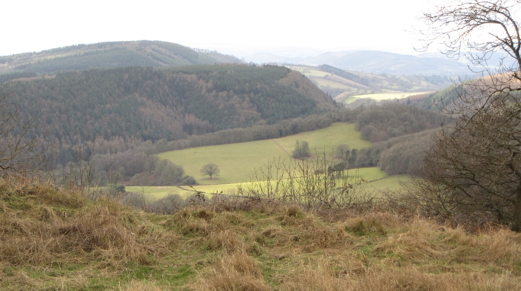 View west from the hill fort - Feb 2012